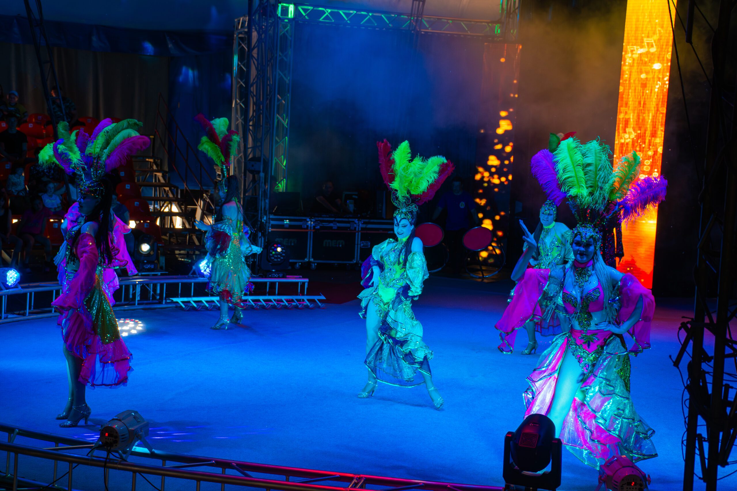 

Билеты на Огни манежа. Ёлка в цирке (Цирк-шапито «Огни манежа»)