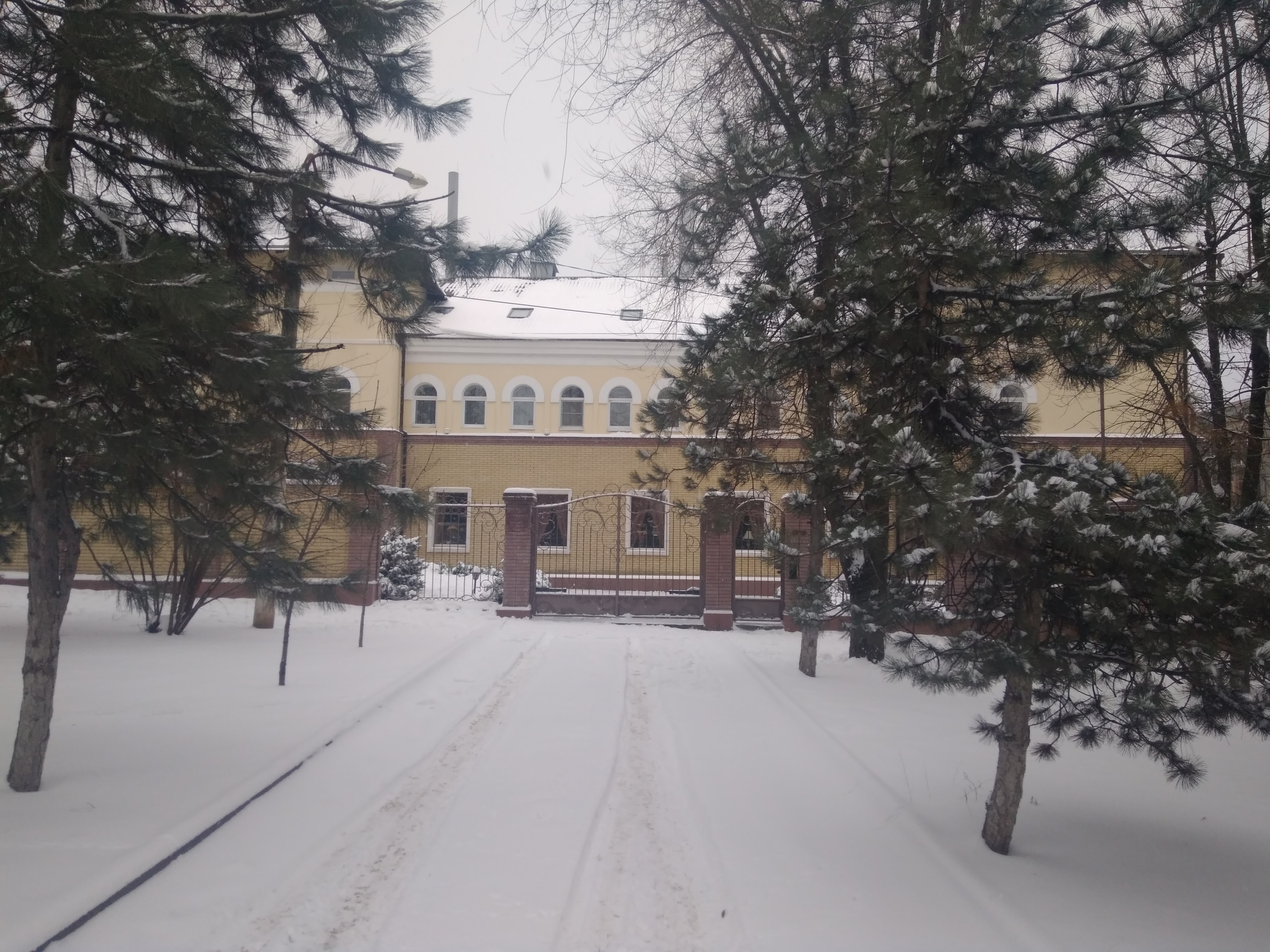 Фото Династия