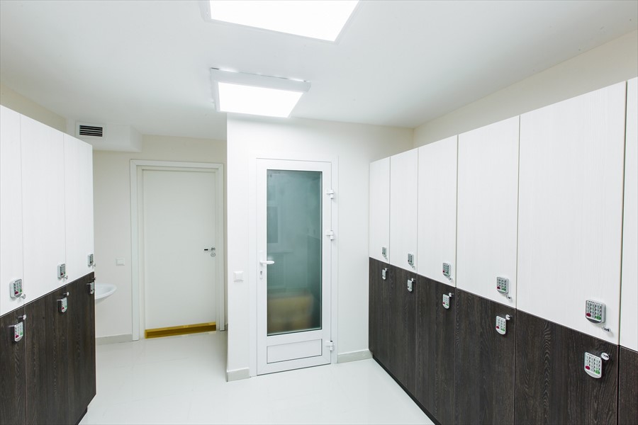 Фото Белое Дерево