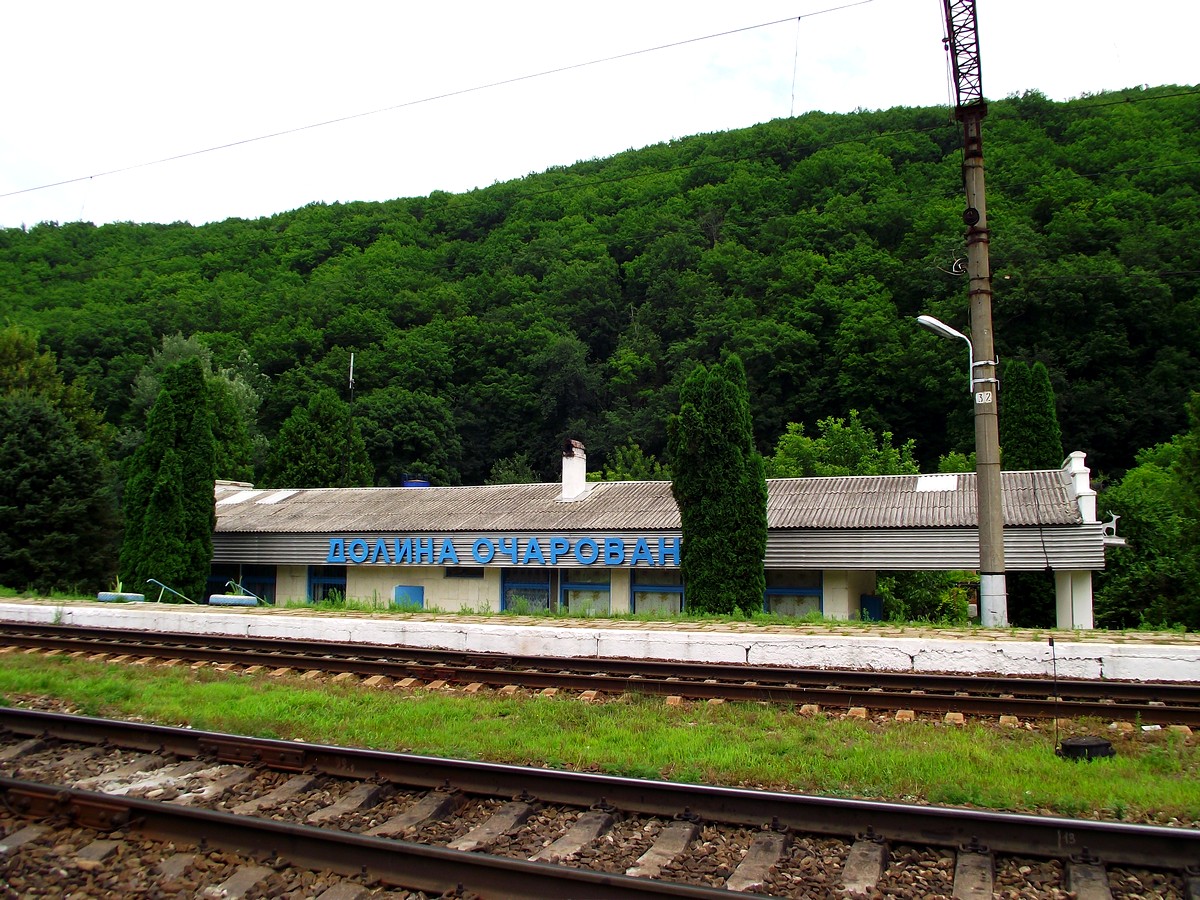 Фото Платан