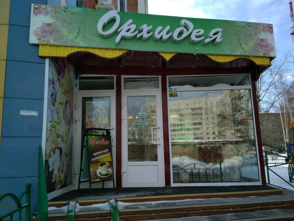 Пермь Магазин Растений
