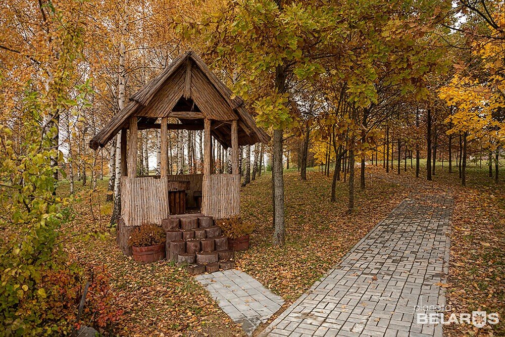 Лесопарк Нарочанский Национальный Парк ГПУ, Минская область, фото