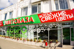 Tsvetobaza (Udmurtskaya Street, 304), flower shop