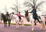 Bereginya (St. Petersburg, Kolpinskiy District, posyolok Ust-Izhora) ، ركوب الخيل