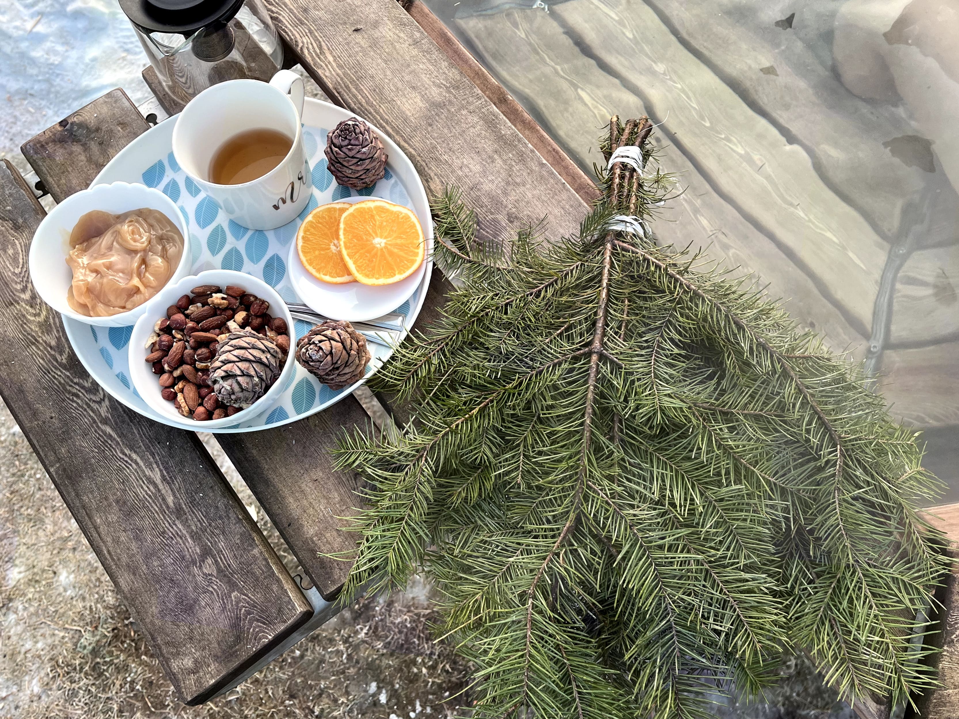 Фото Уютная Лиса