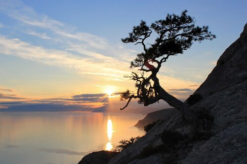 Гостиница Князь Голицын в Новом Свете