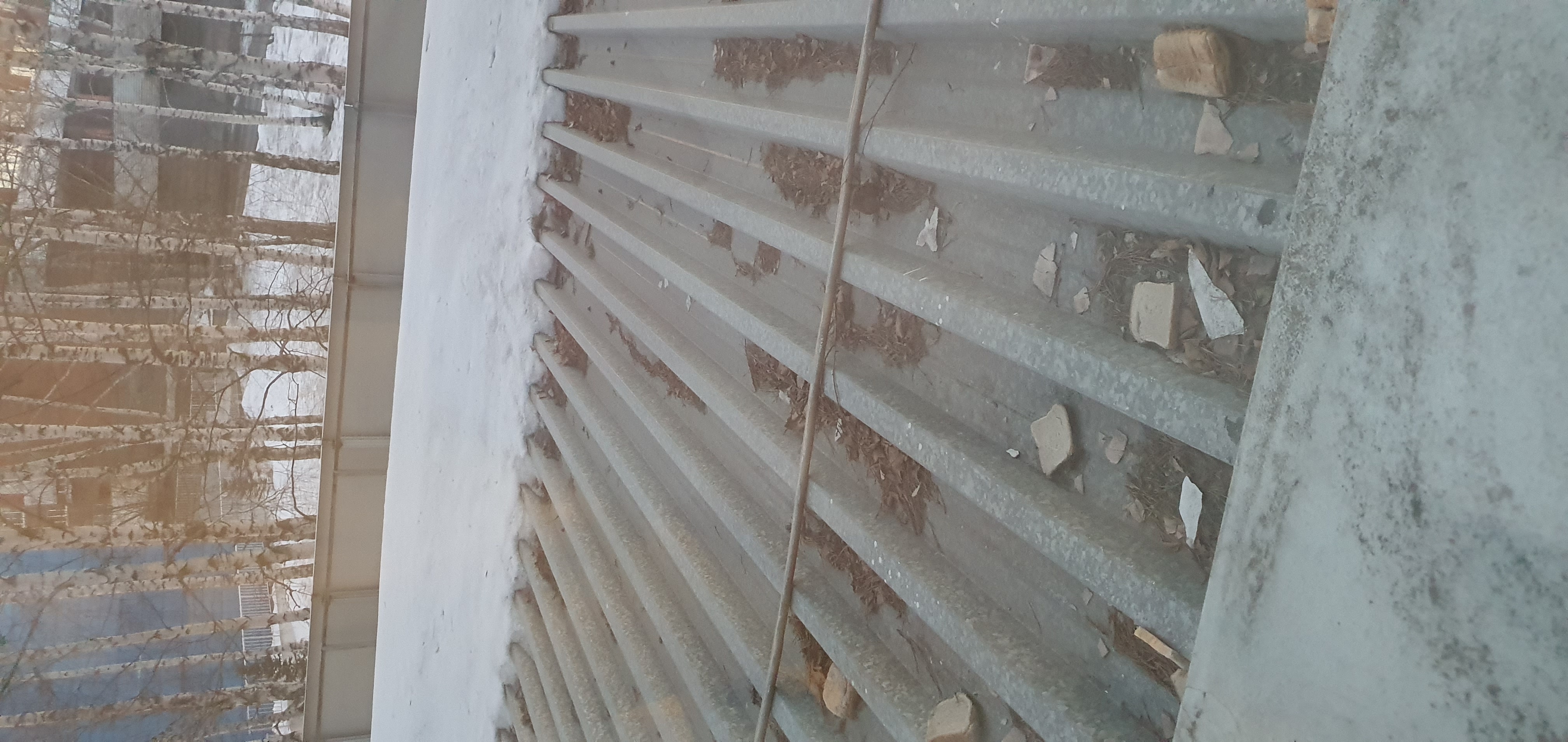 Фото У Истока