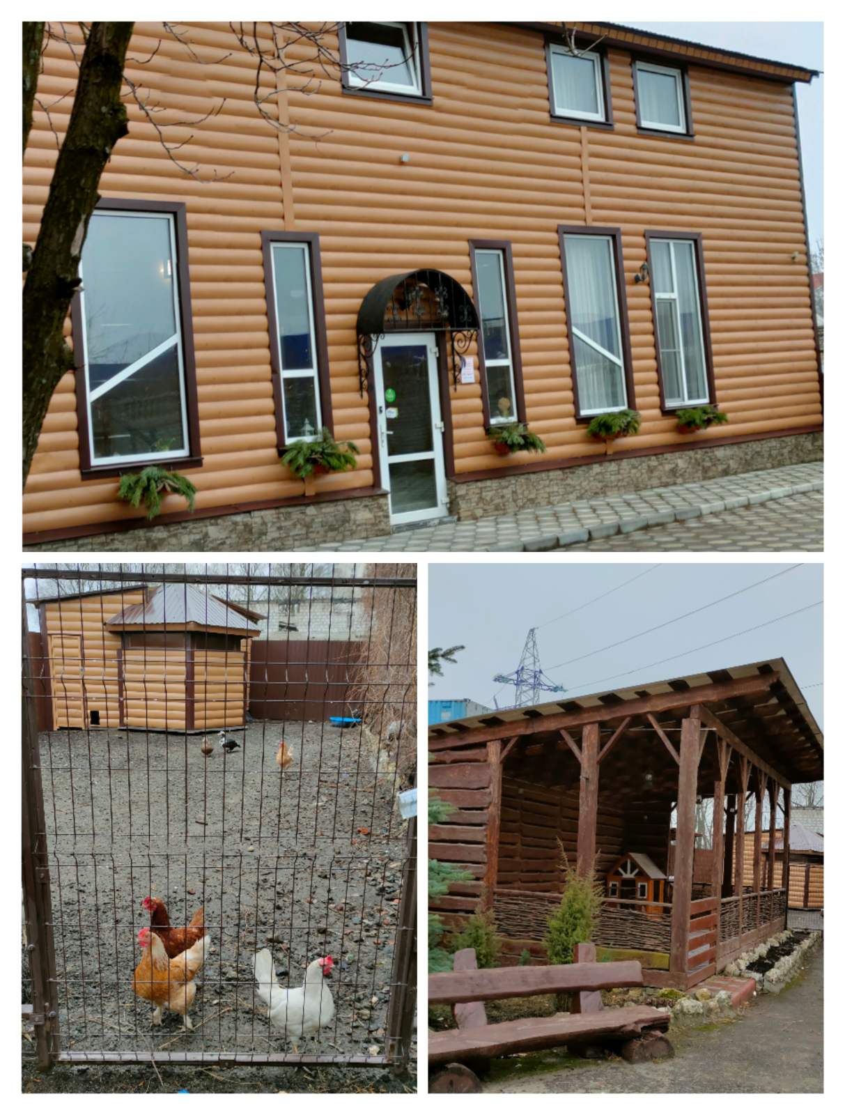 Фото Ундина