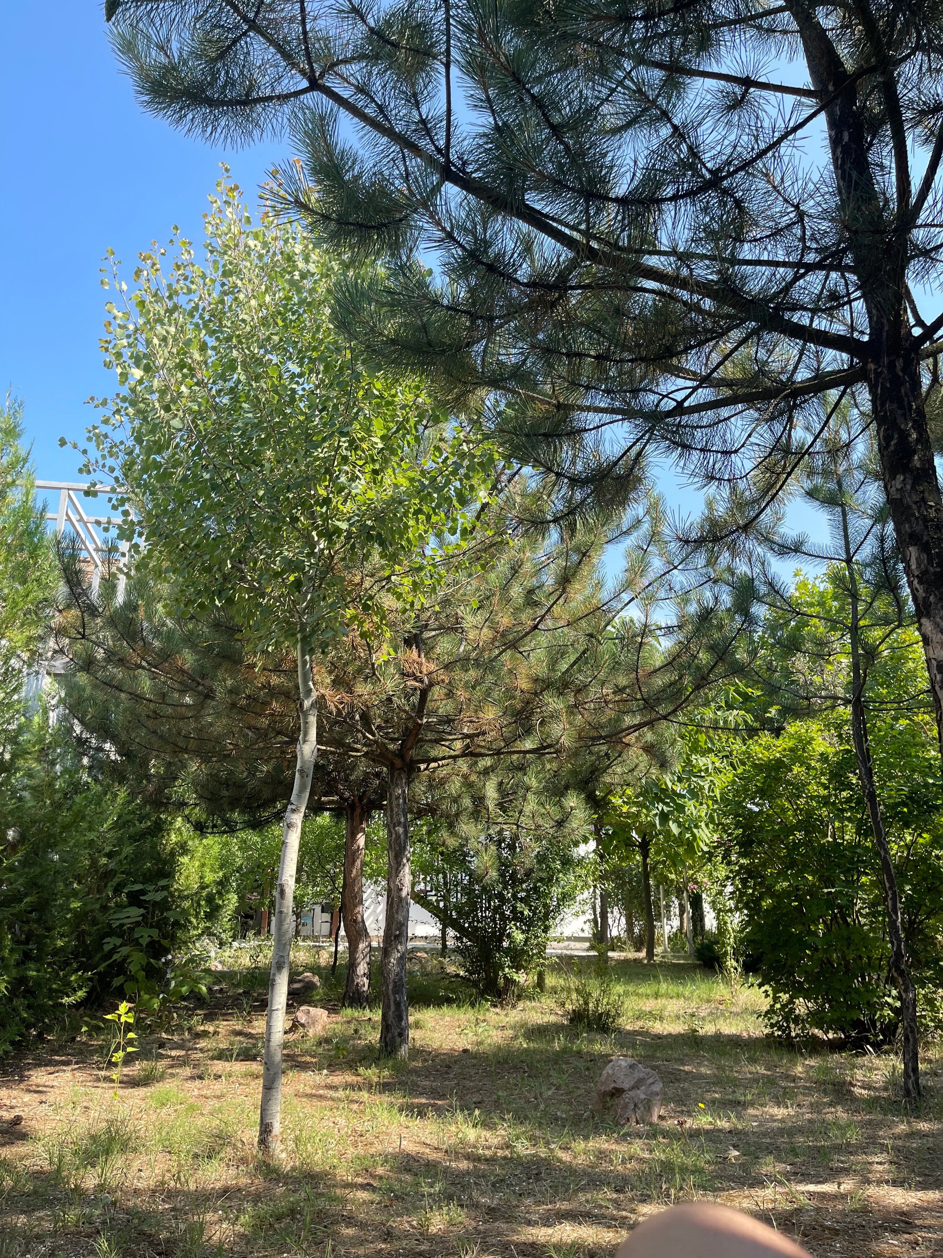 Фото Эльмарин