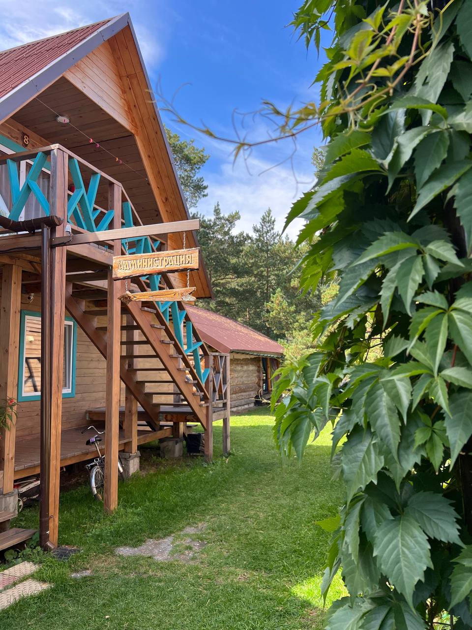 Фото Зеленые холмы