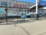 Dinara (Jusipbek Aymawıtov street, 143А), cafe