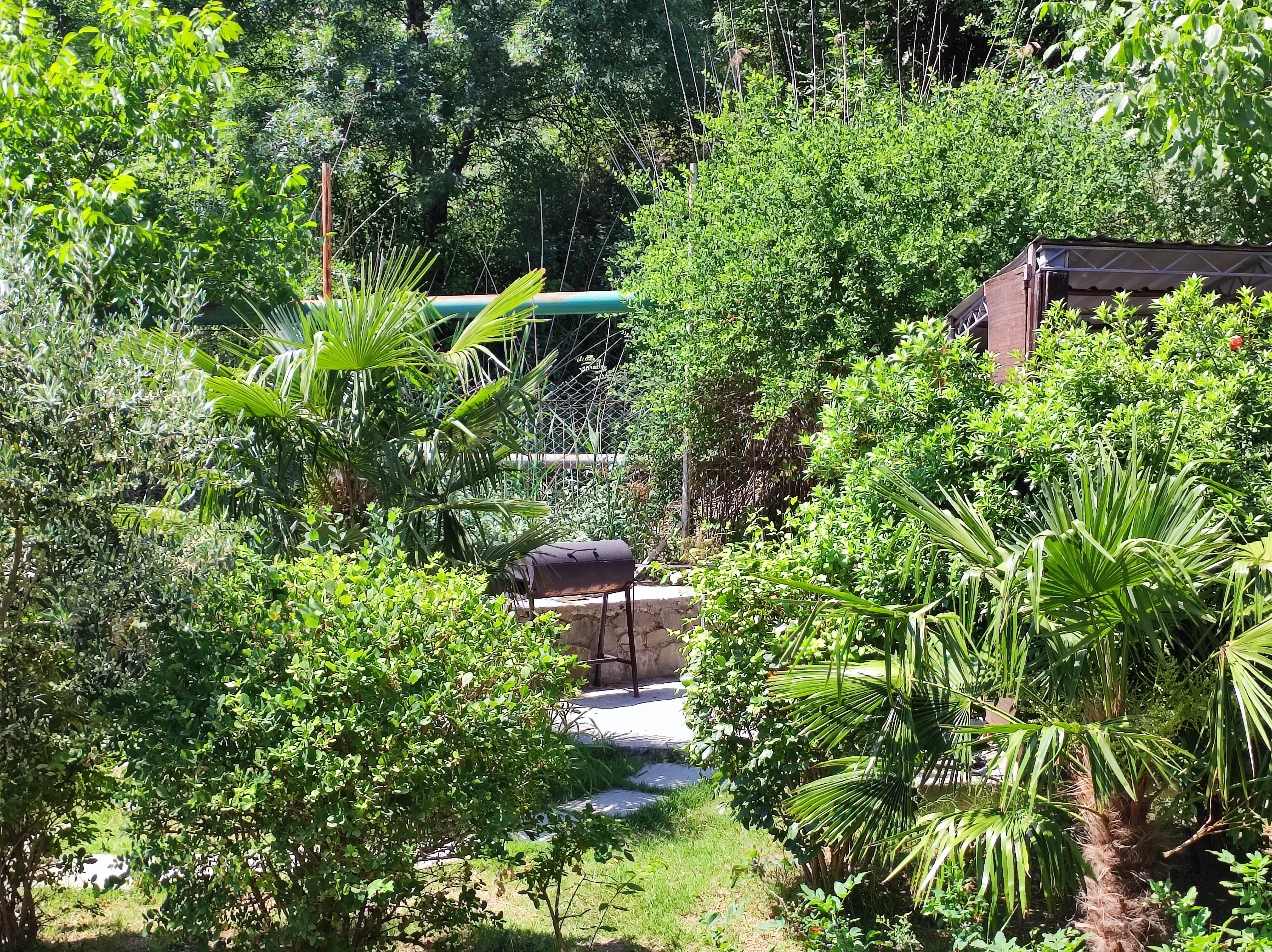 Фото Бригантина