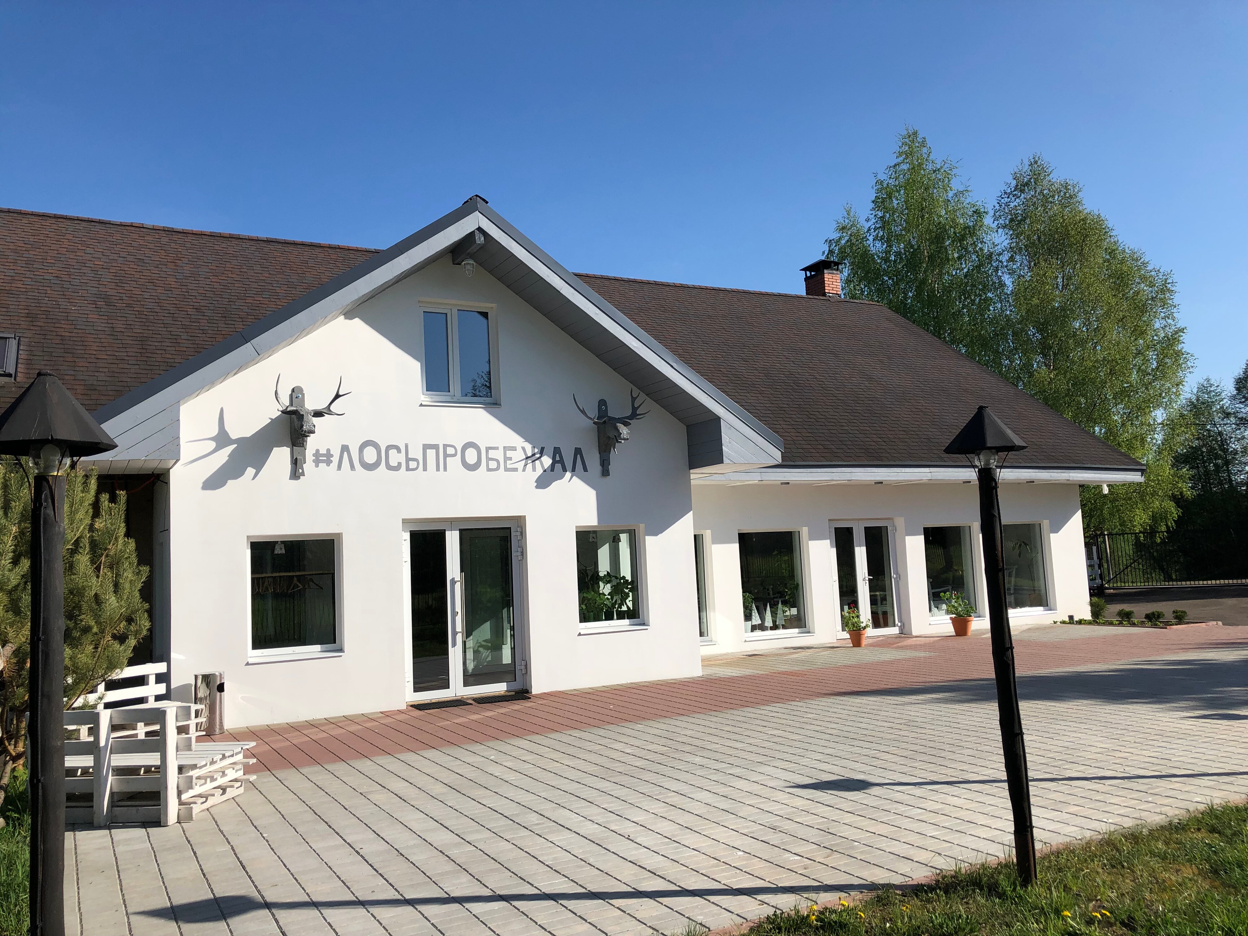 Фото Лосьпробежал