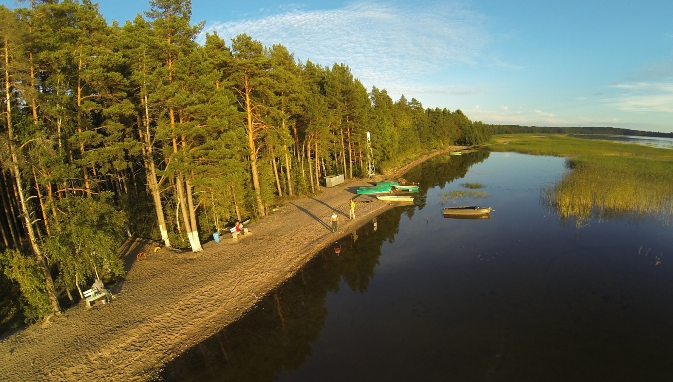 Фото Розовая дача