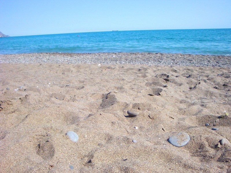 Фото Парадиз