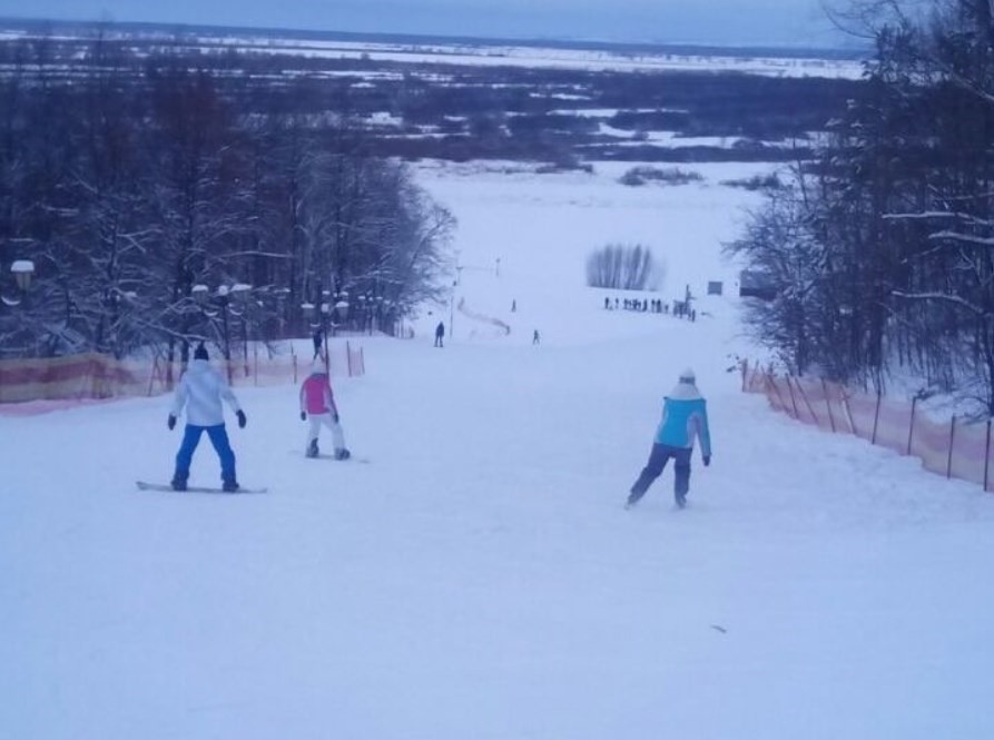 Фото Алая роза