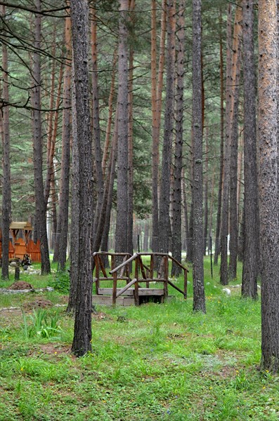 Фото Эльбрус Марал