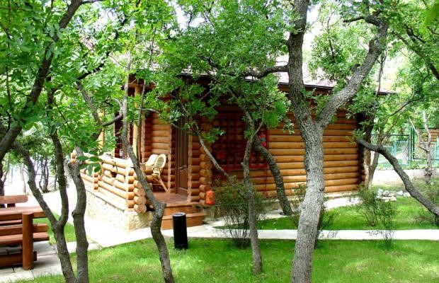 Фото Артемида