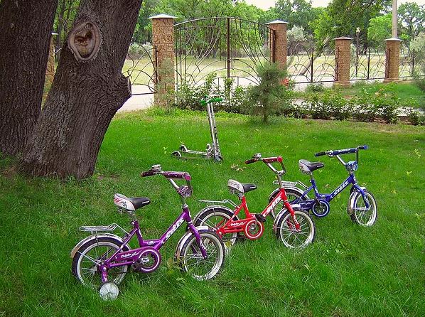 Фото Лесная