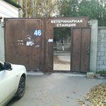 Ветеринарная Станция (ул. Зои Космодемьянской, 46Б, Махачкала), ветеринарная клиника в Махачкале