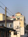 Ernest Chemist Central Warehouse (Vanderpuiye Close, 9), pharmacy