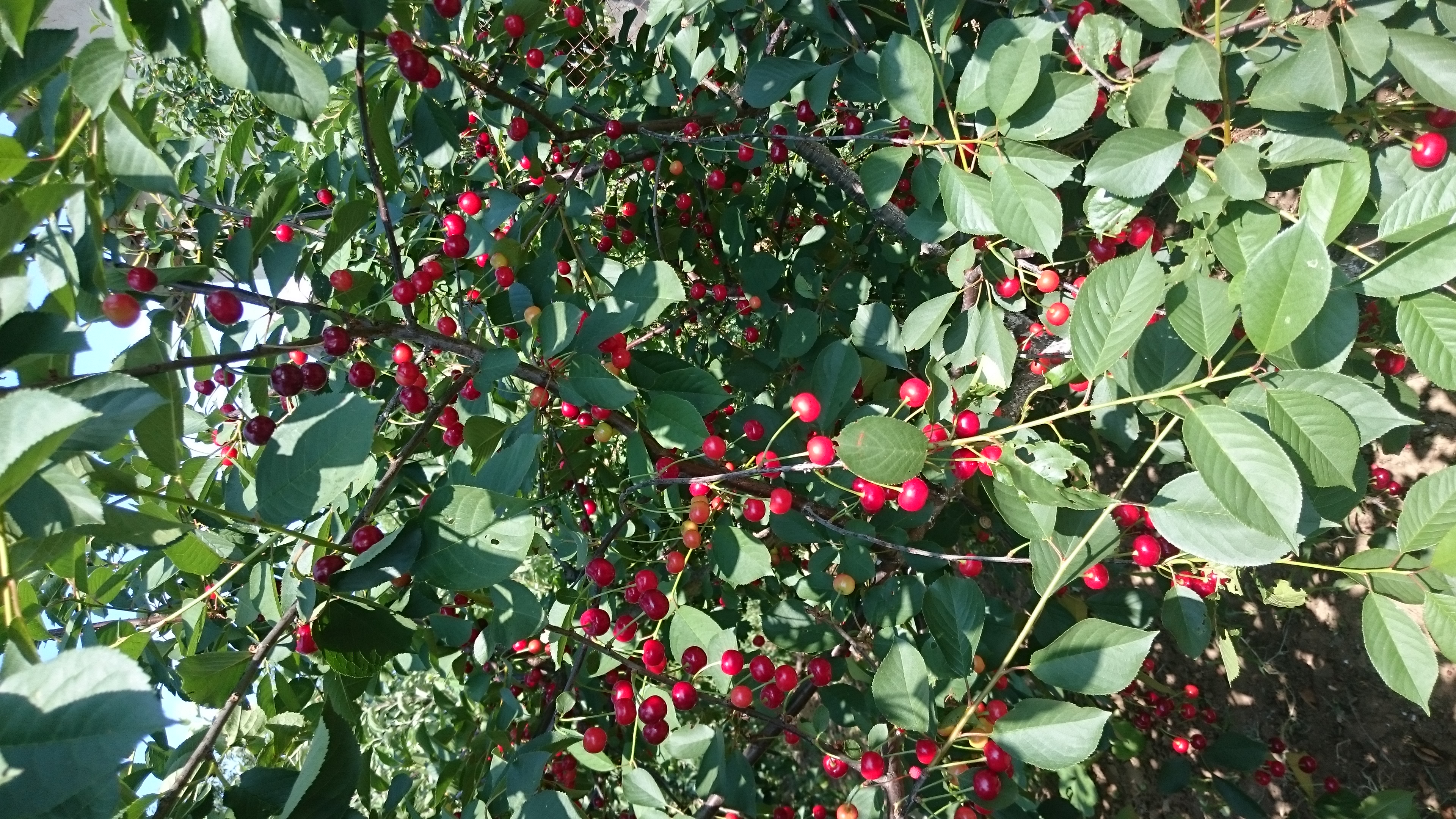 Фото ТО, что надо!