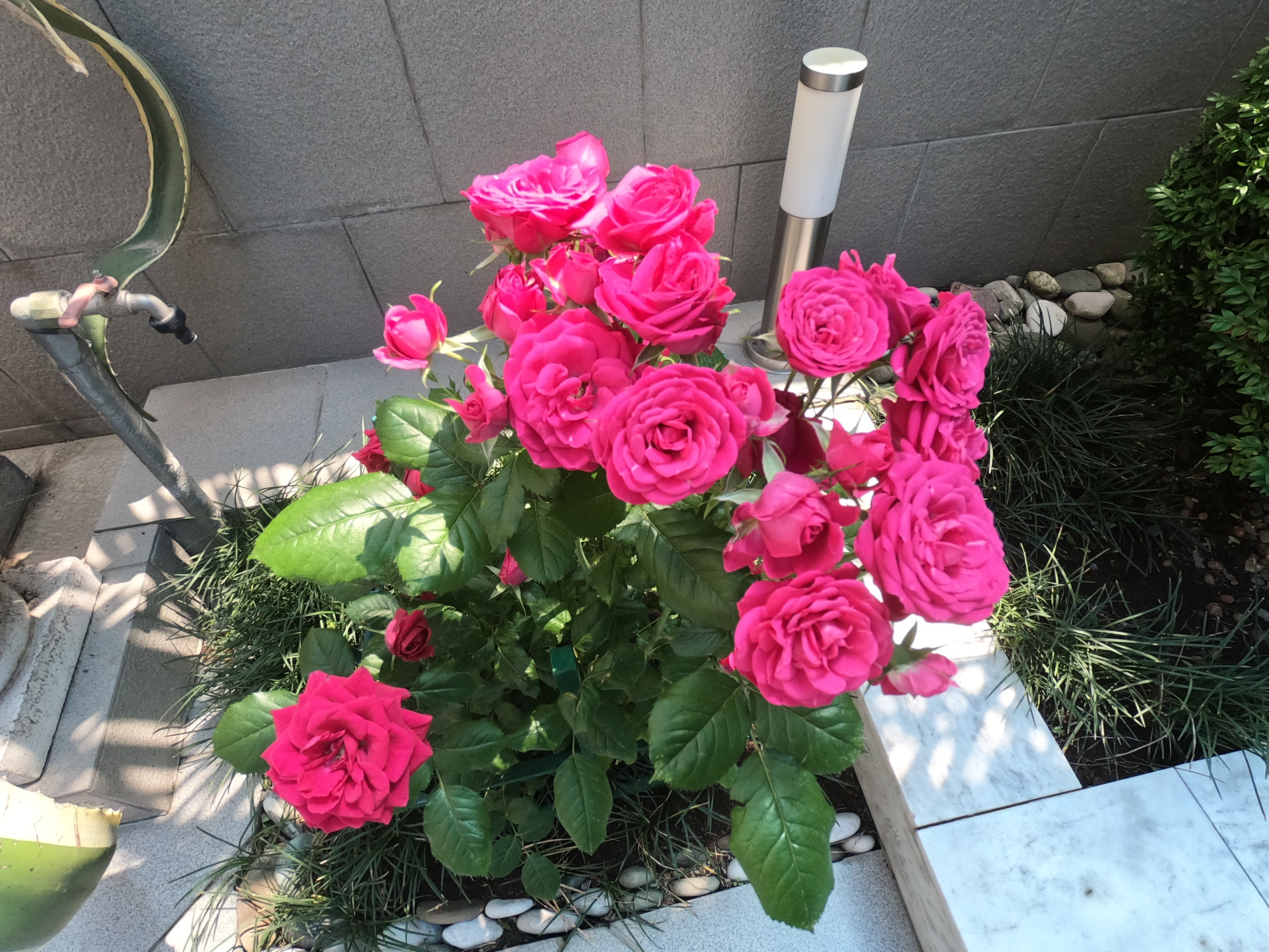 Фото Маретель