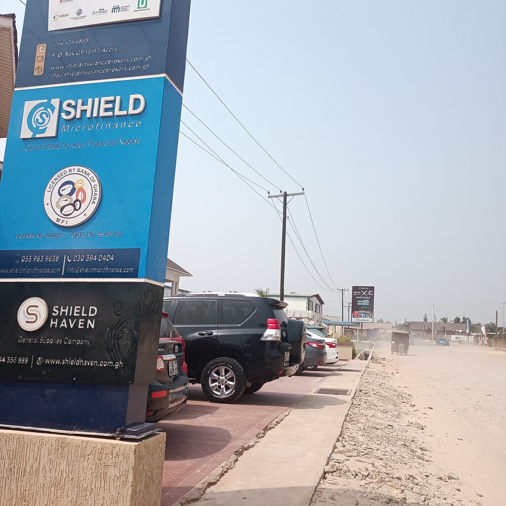 Microfinance institution Shield Microfinance, Earth, photo