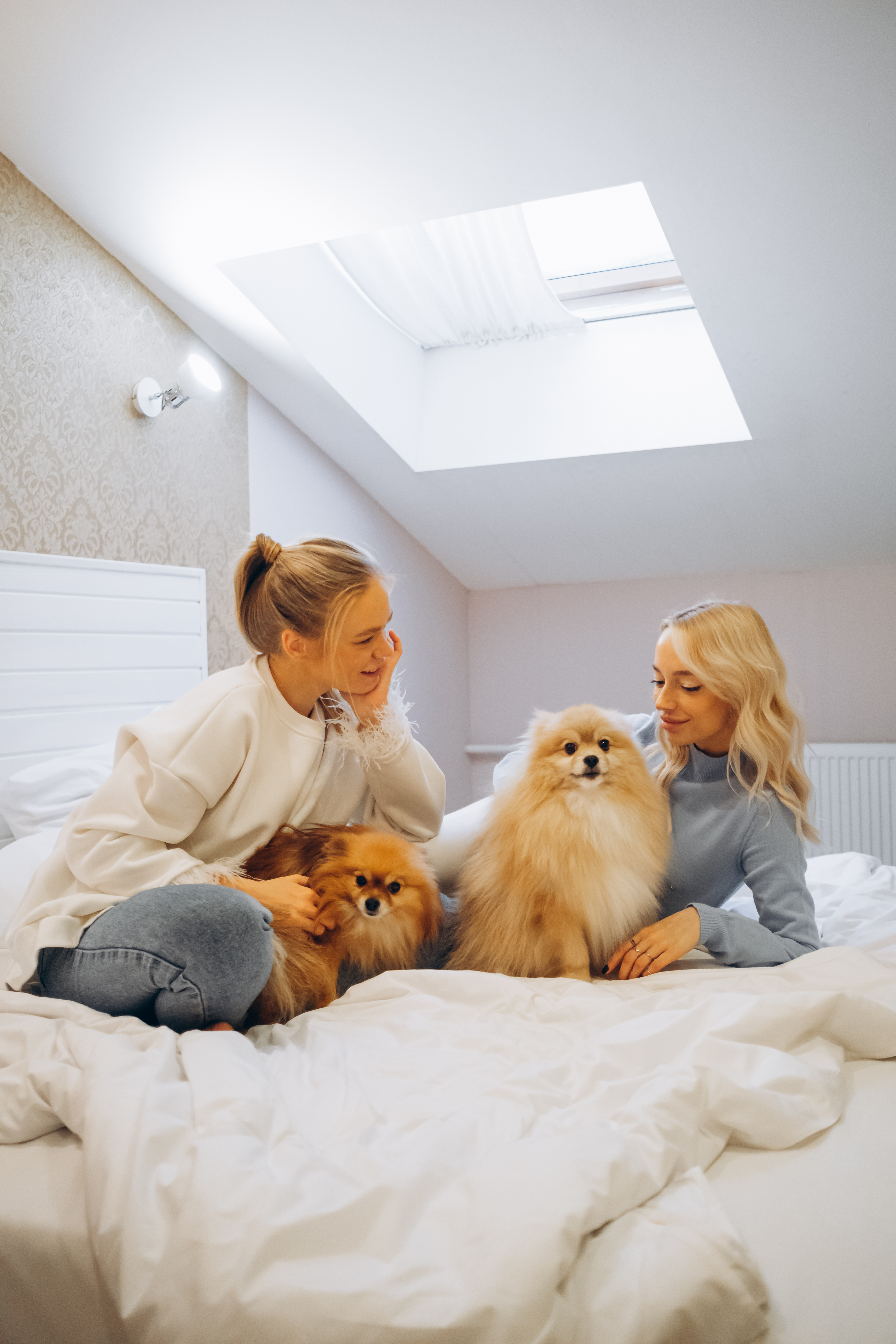 Фото Арт Деко Невский