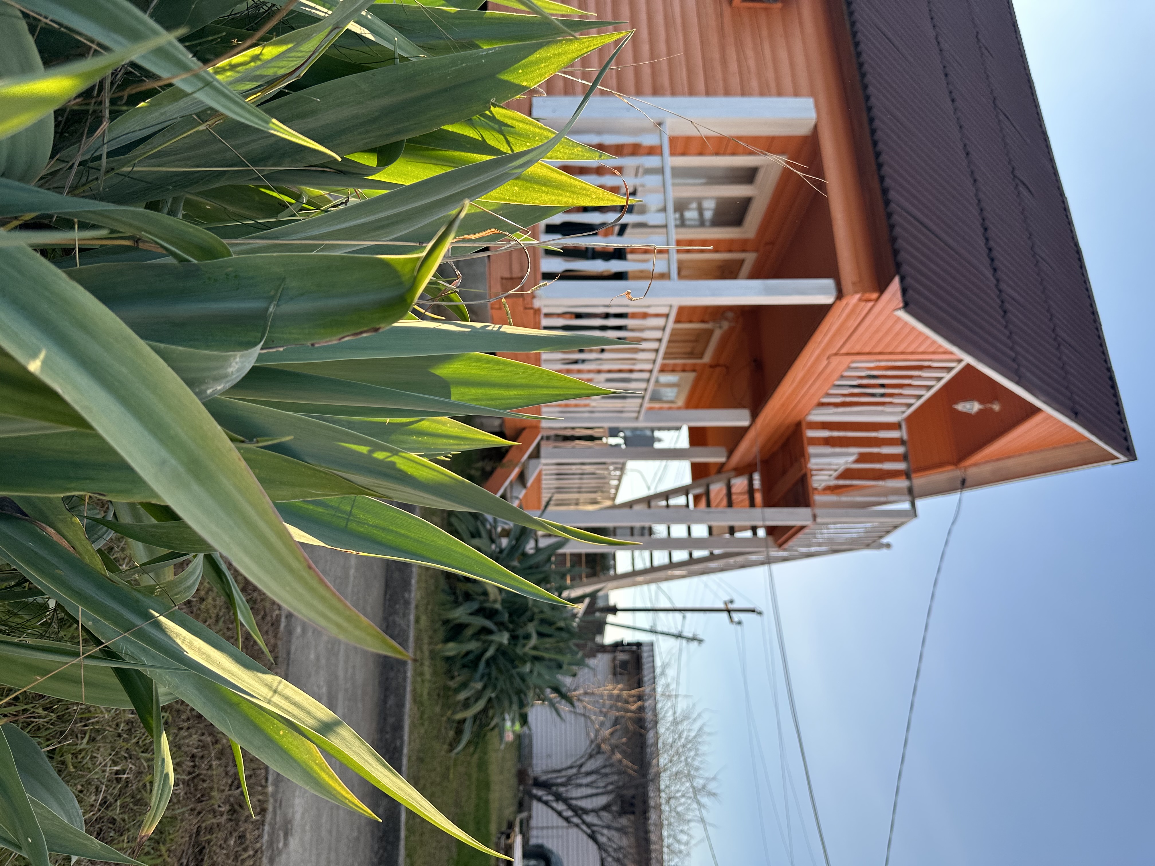 Фото Гостевой дом Петрович