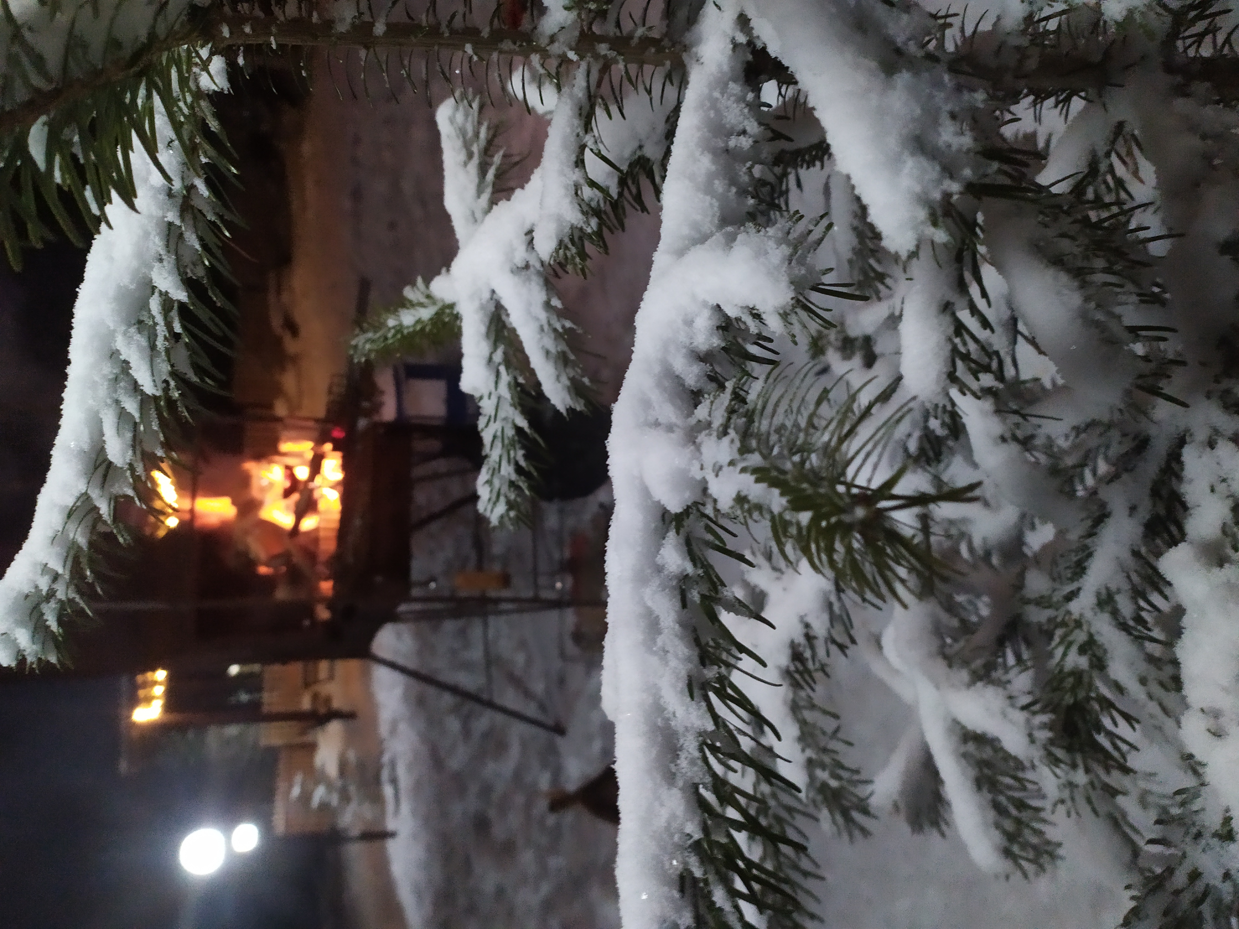 Фото Тур-домики Поляна Зубров