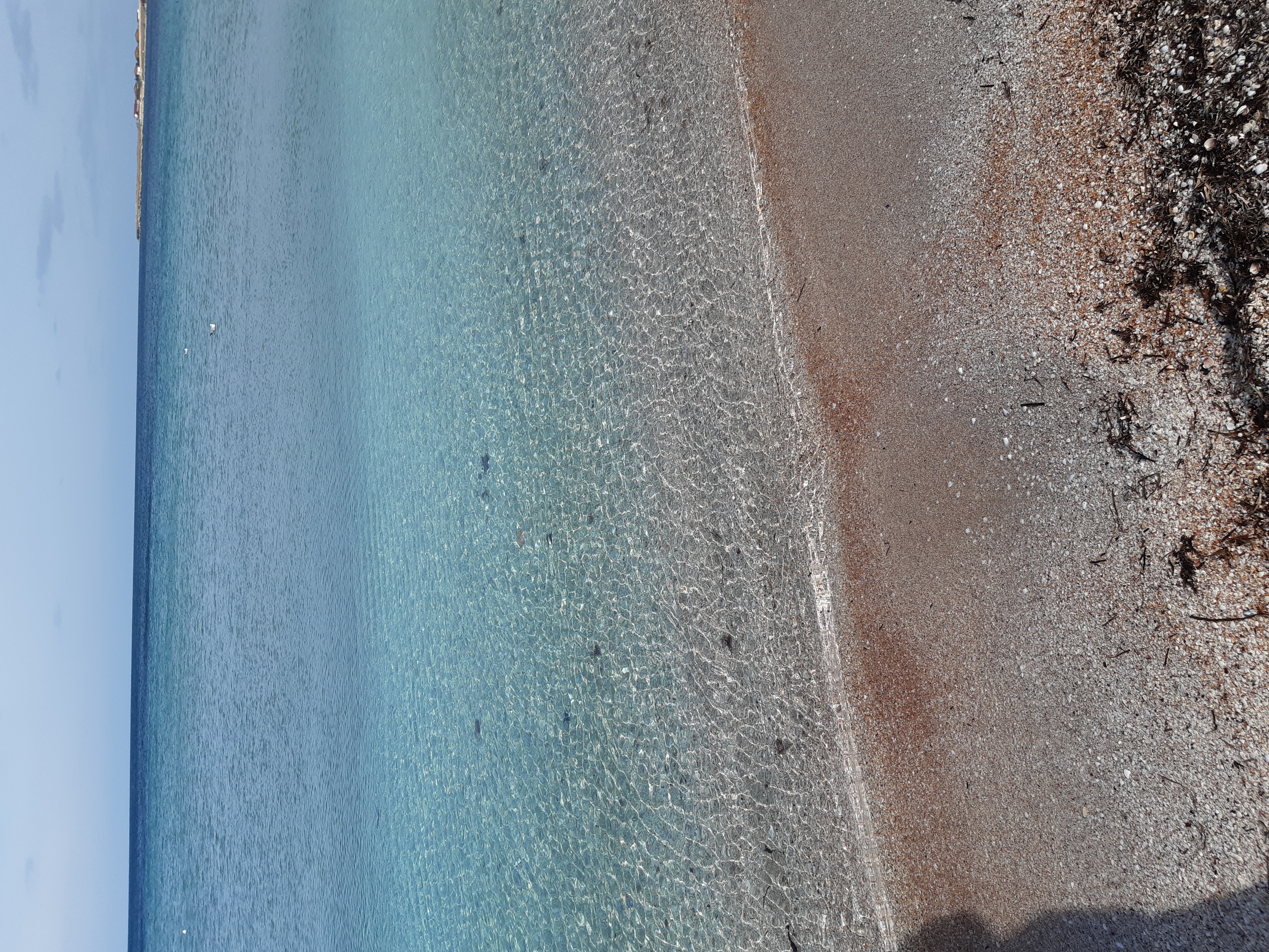 Фото Гостевой дом Прекрасная гавань