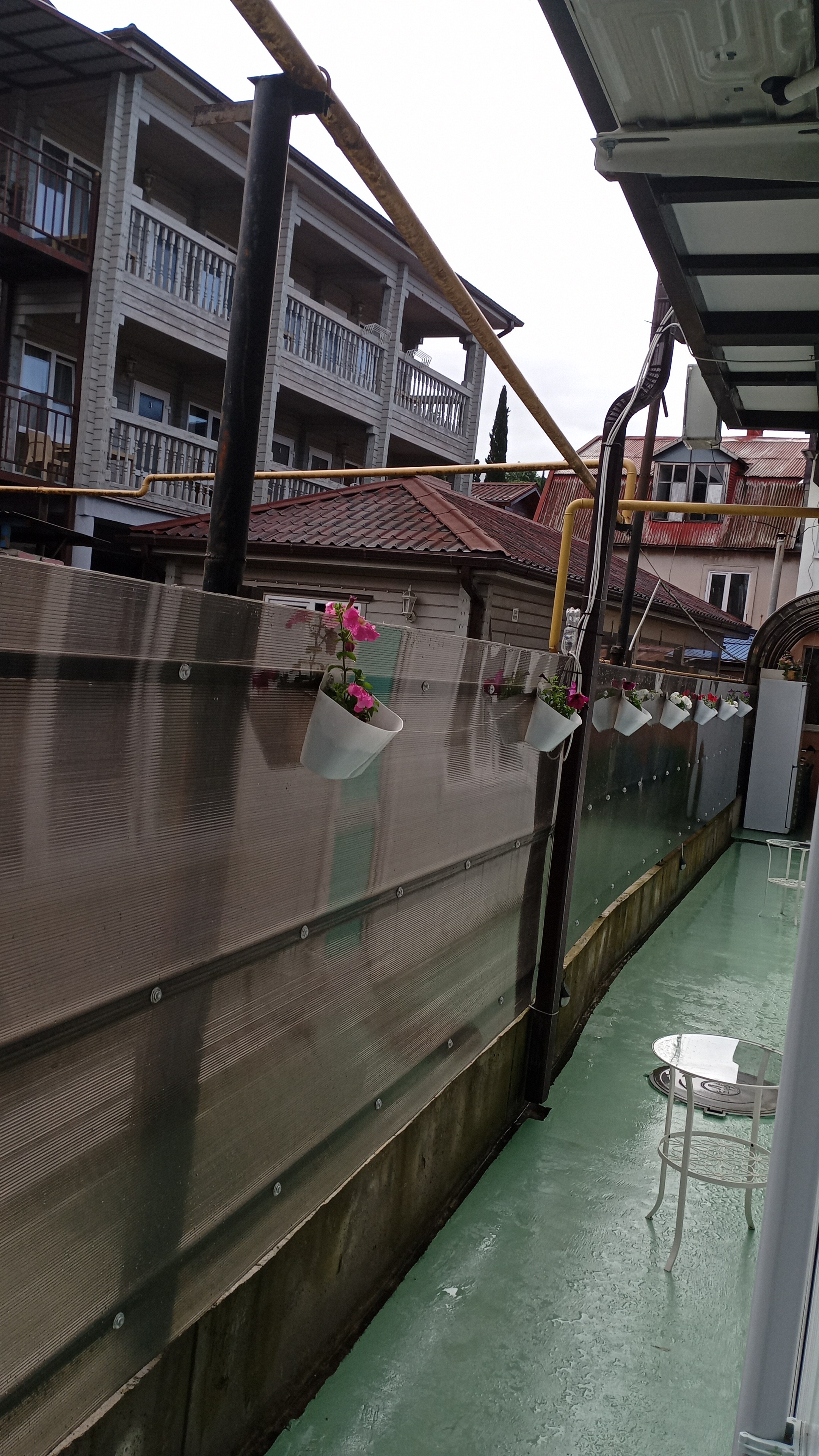 Фото Изумрудная пальма