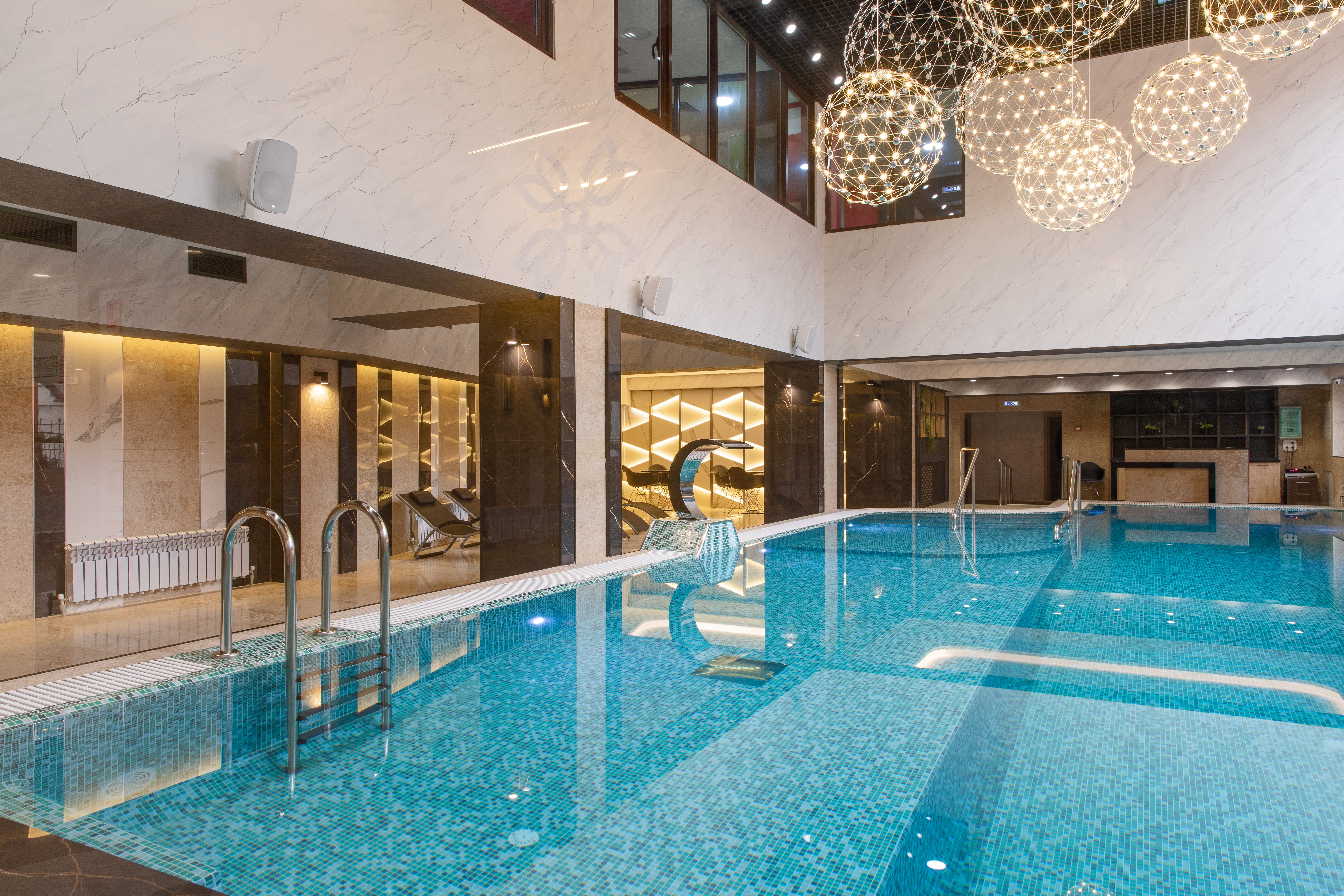 Фото Арника