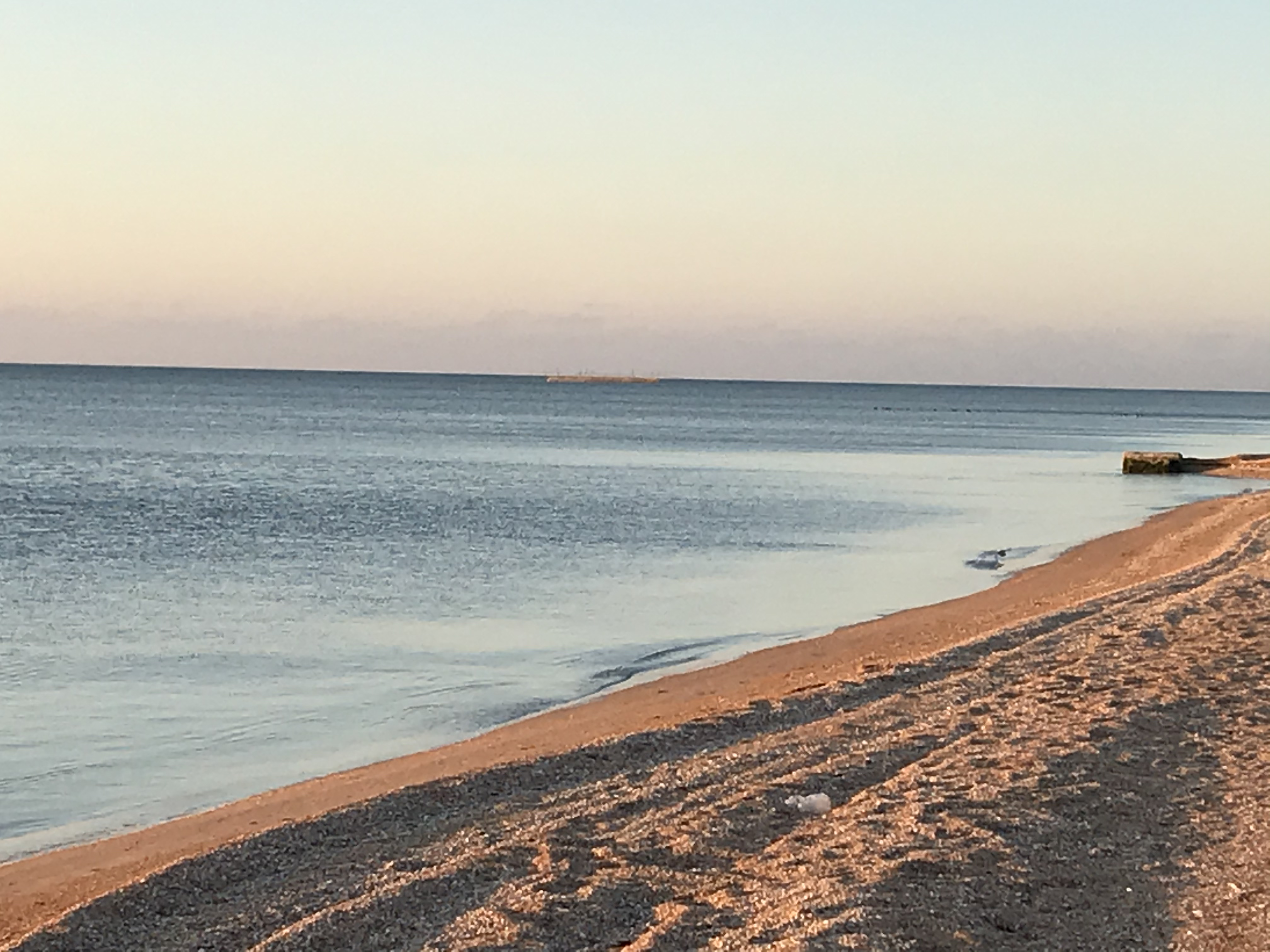 Фото Фордевинд