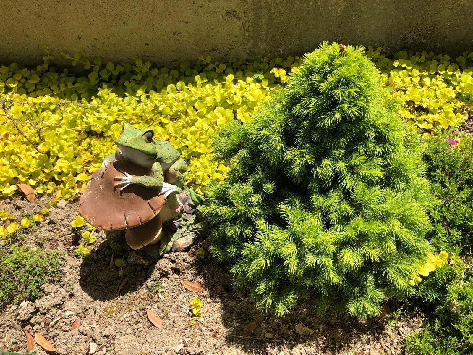 Фото Енисей