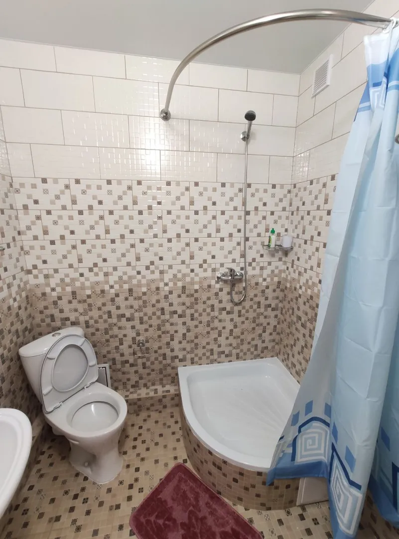 Фото Дельфин