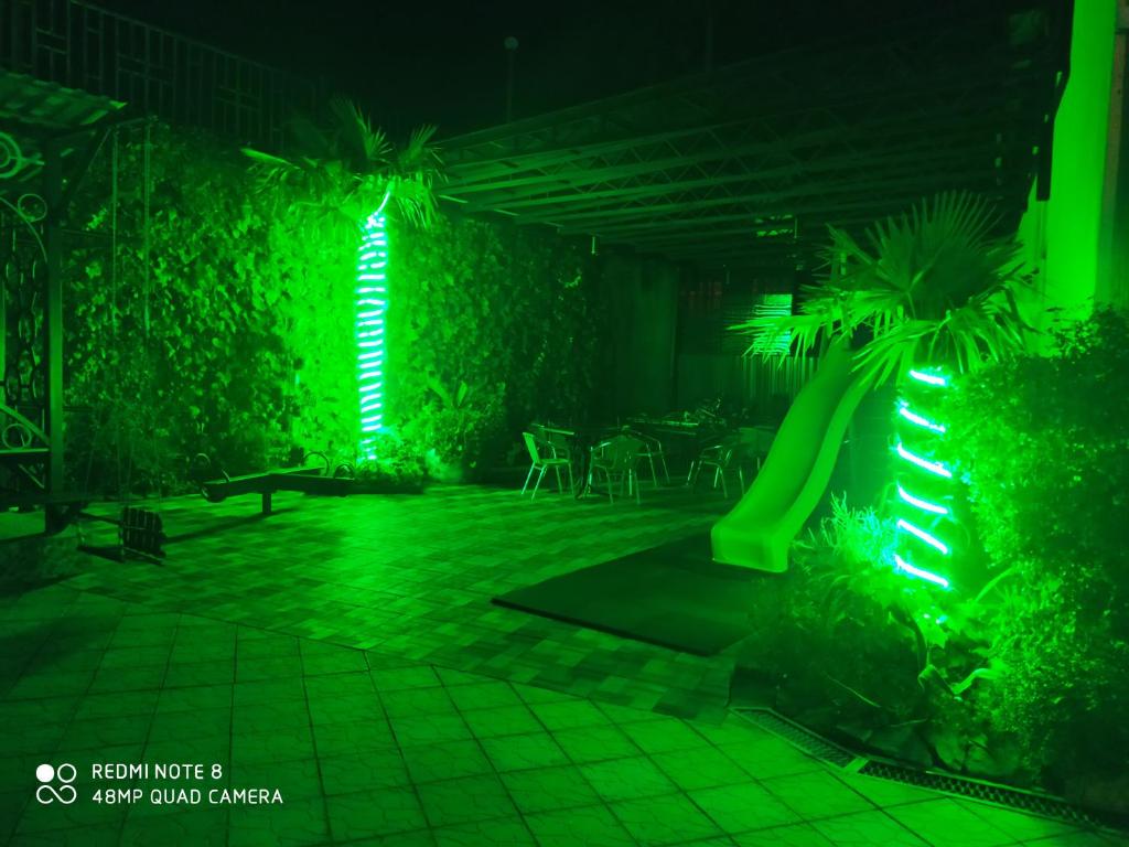 Фото Дельфин Парк