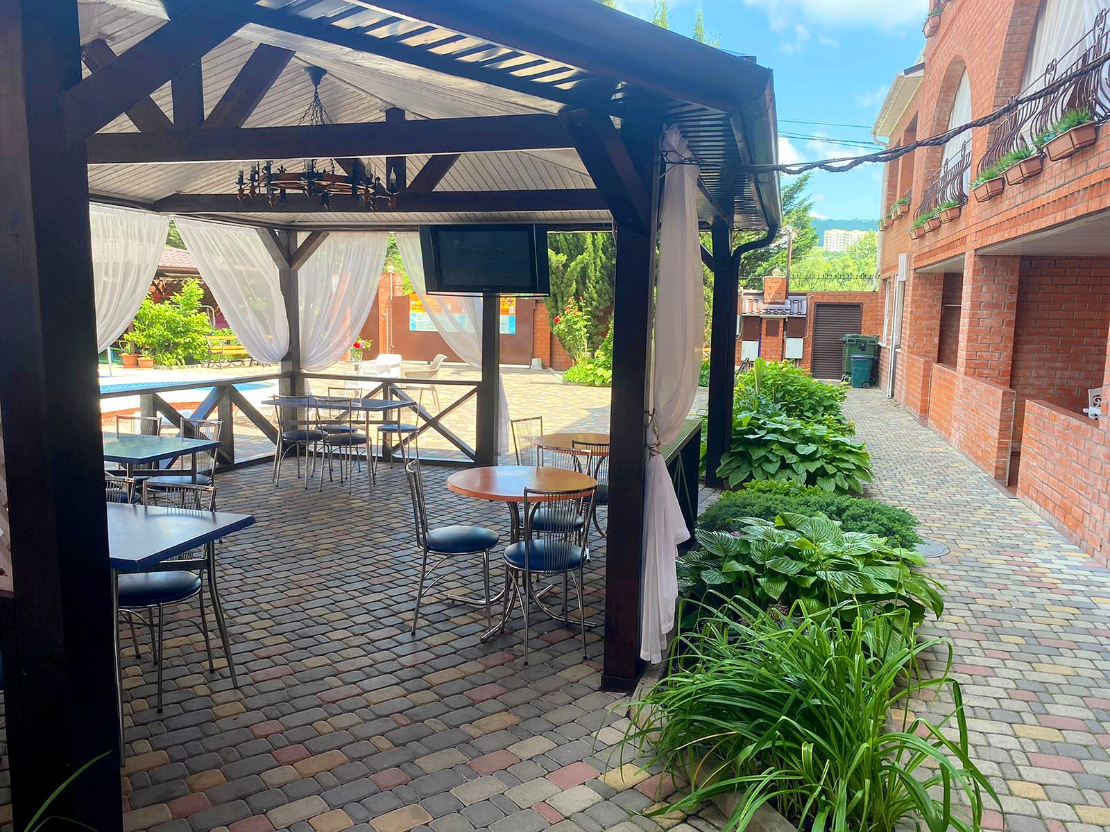 Фото Багира