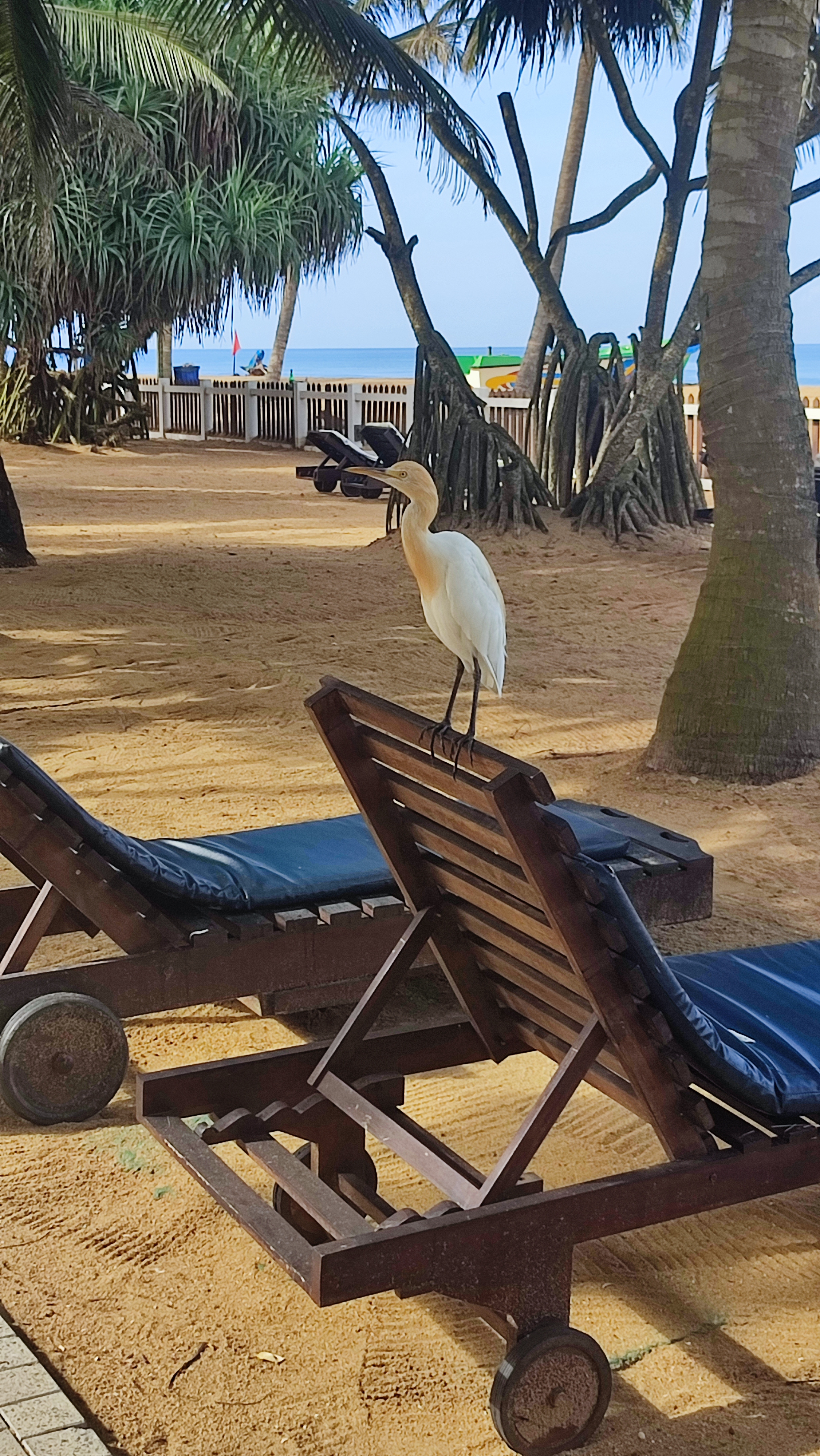 Фото Turyaa Kalutara