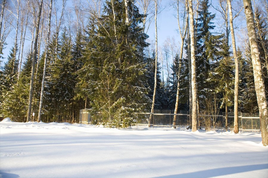 Фото Родники