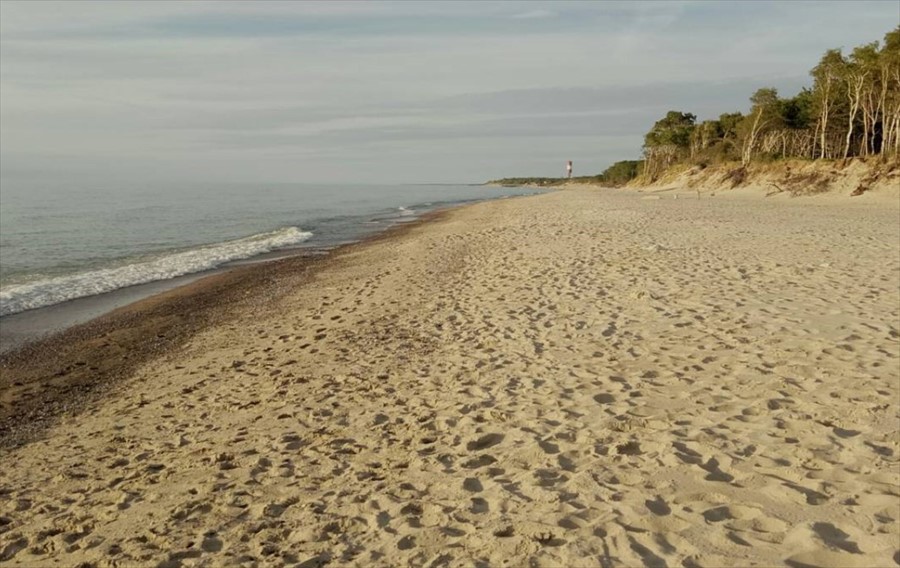 Фото Вальде Парк