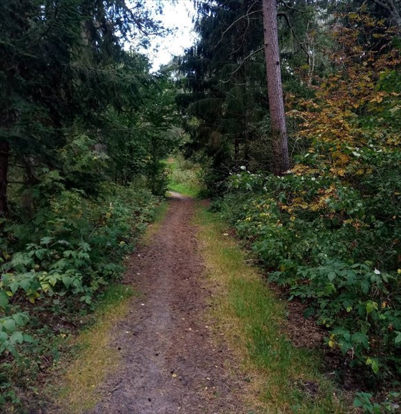 Фото Вальде Парк