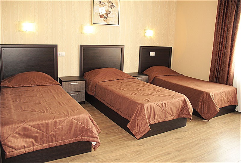 Фото Монарх