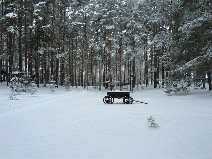 Фото Лукоморье