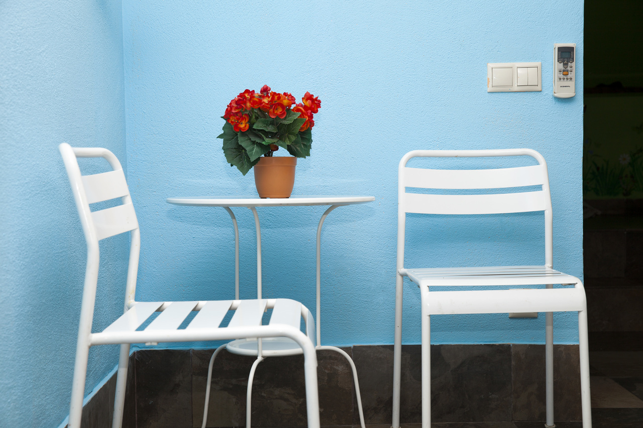 Фото Полянка на Чистых прудах