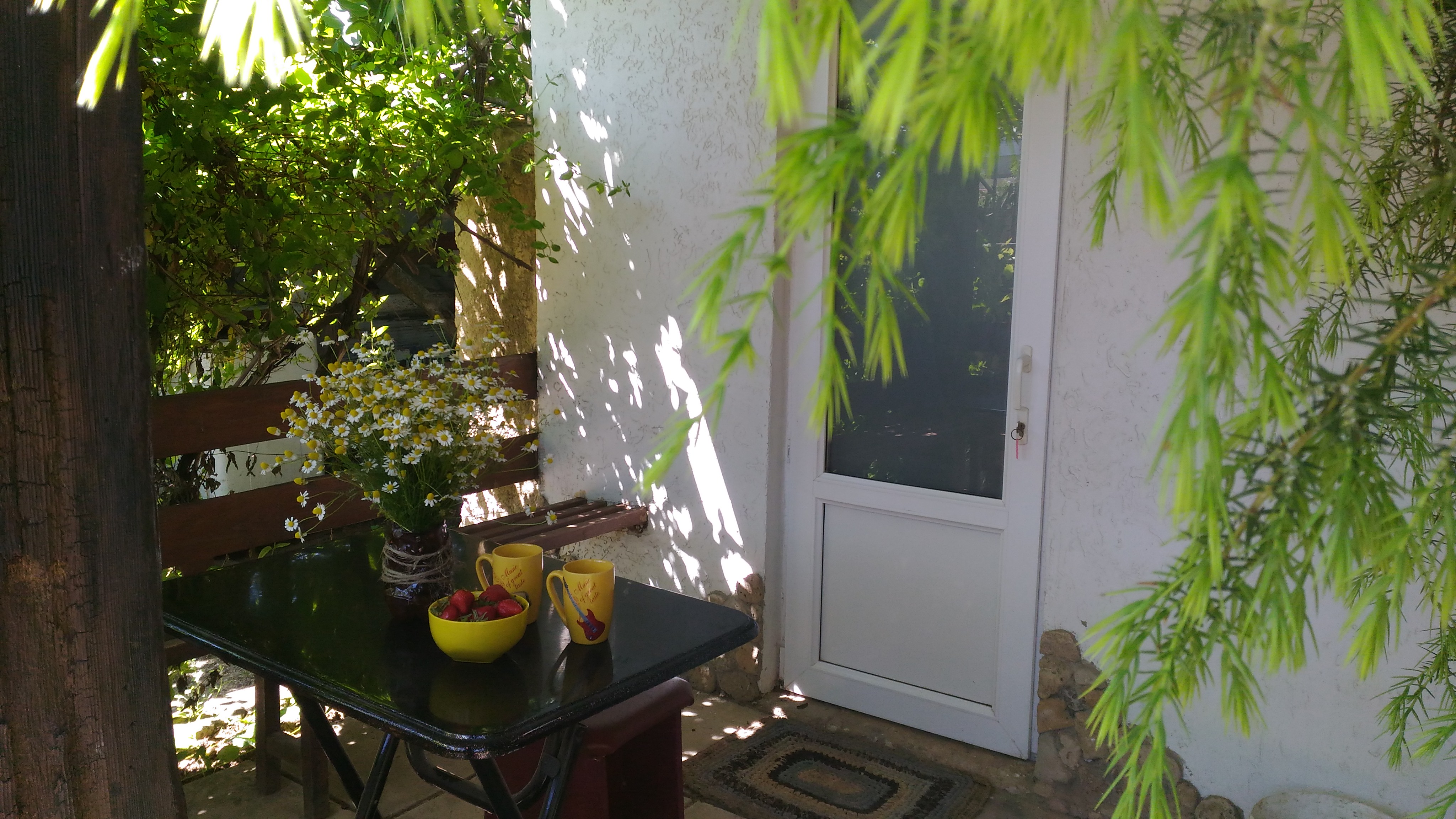 Фото СимСим