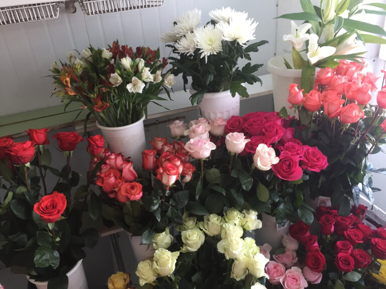 Сайты Магазины Цветов Нижний Новгород