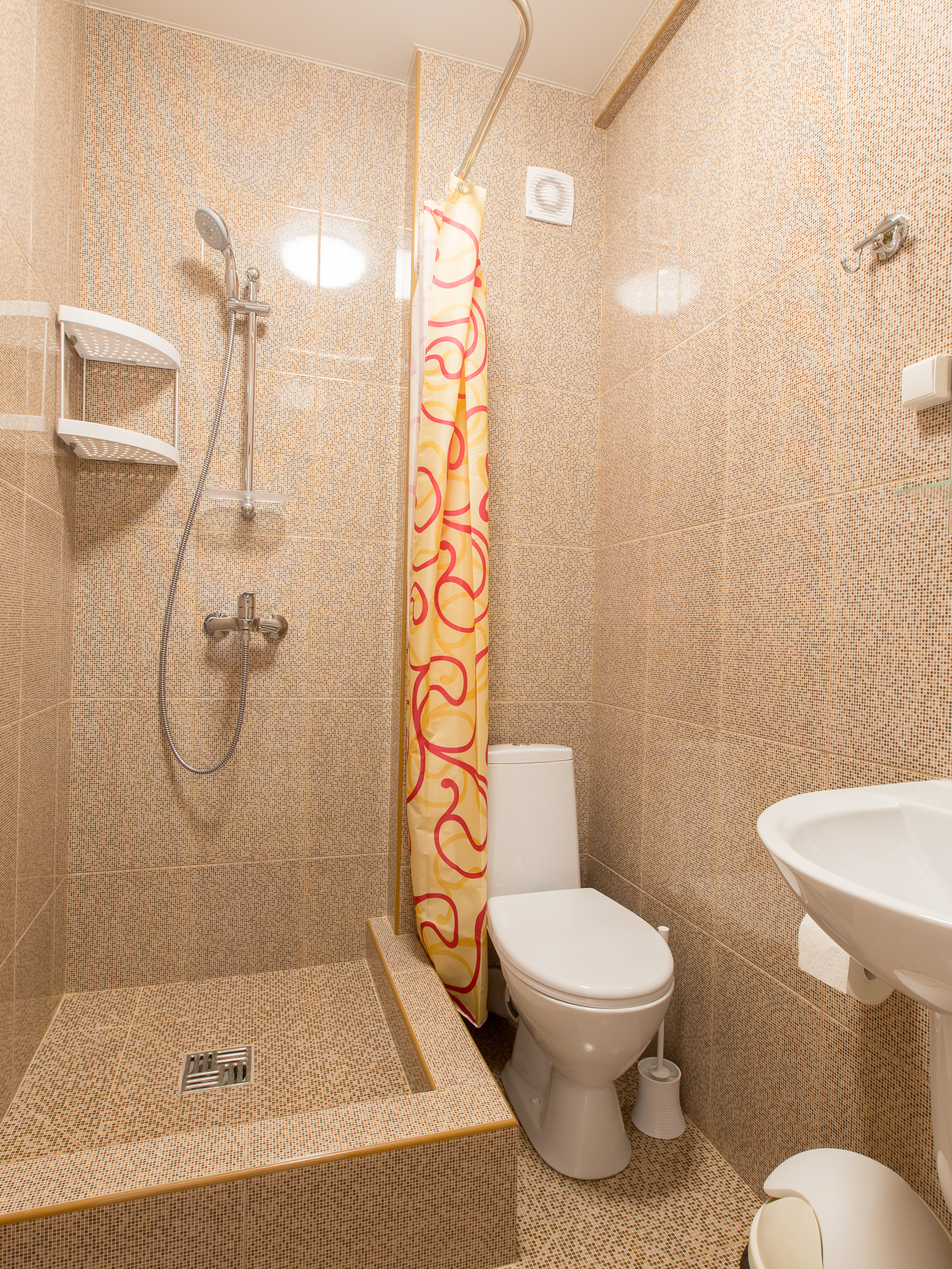 Фото Игуана