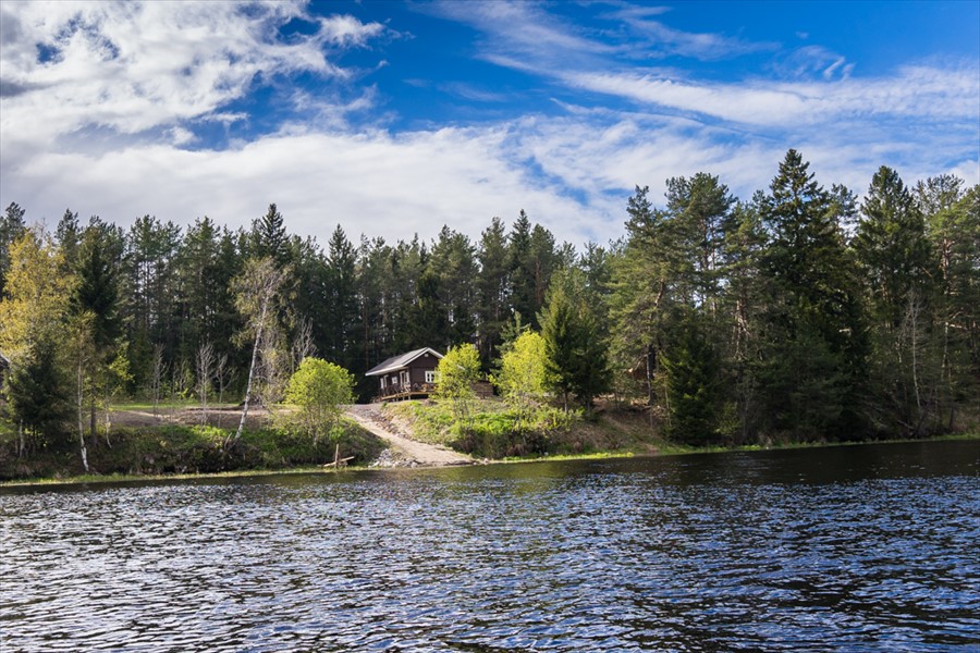 Фото Алавойне